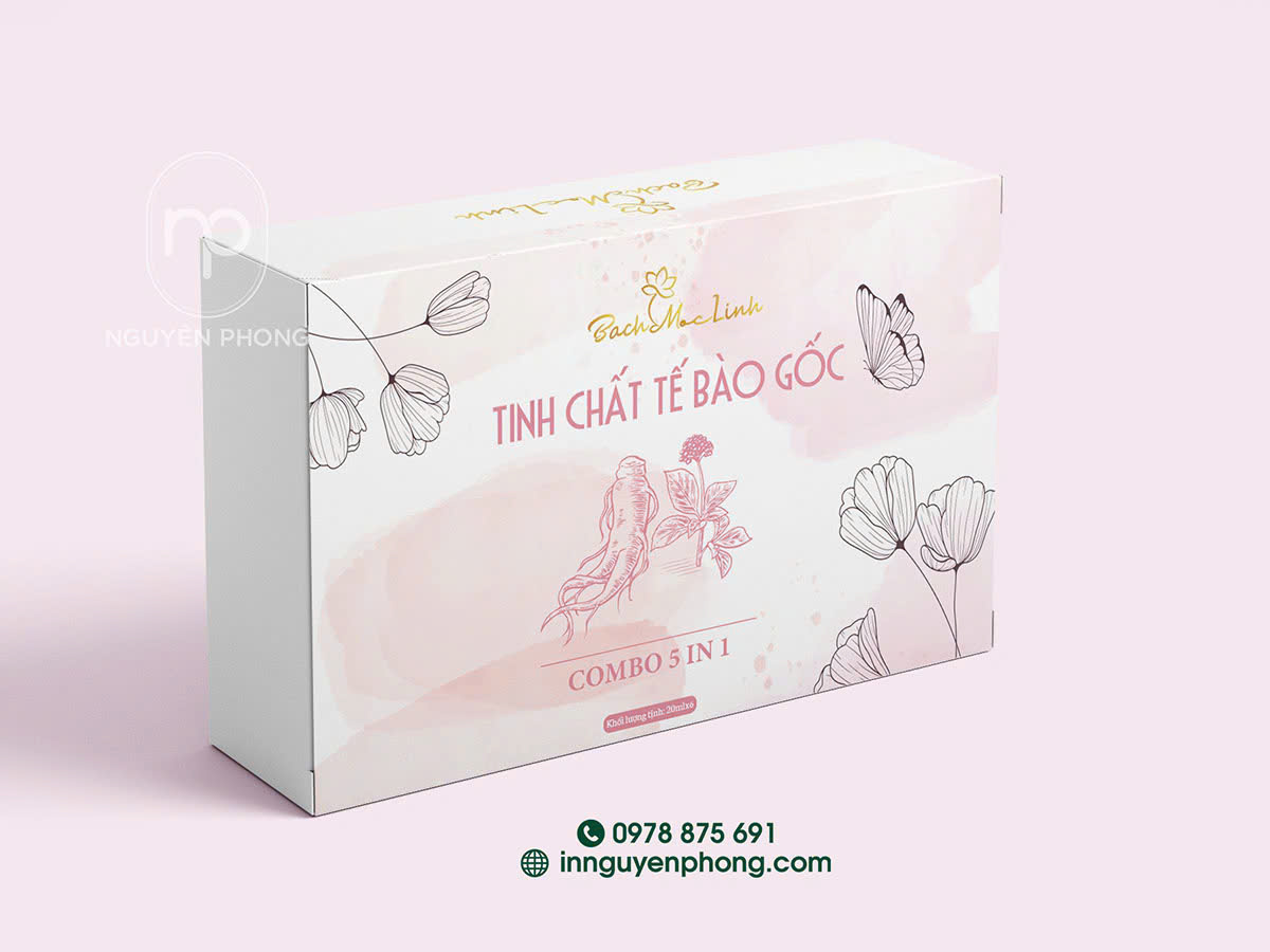 Thiết kế hộp giấy đơn giản 